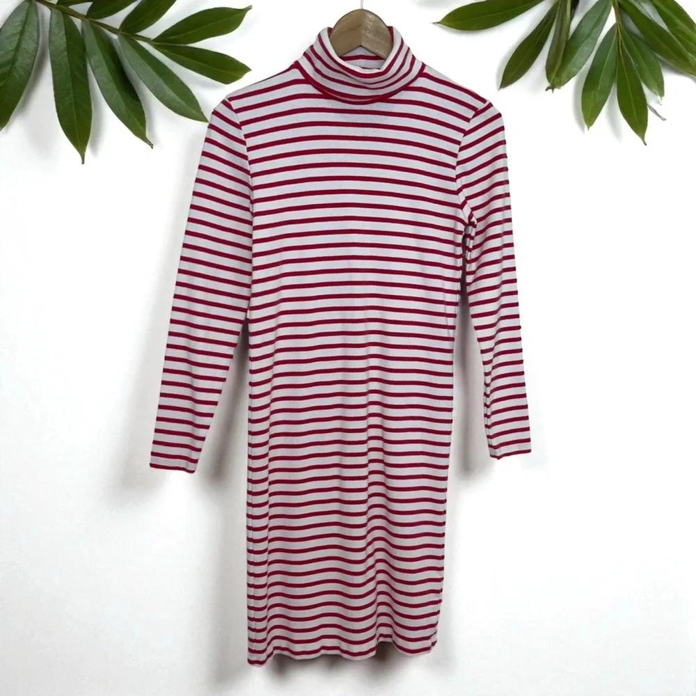 J. Crew Striped Turtleneck Dress